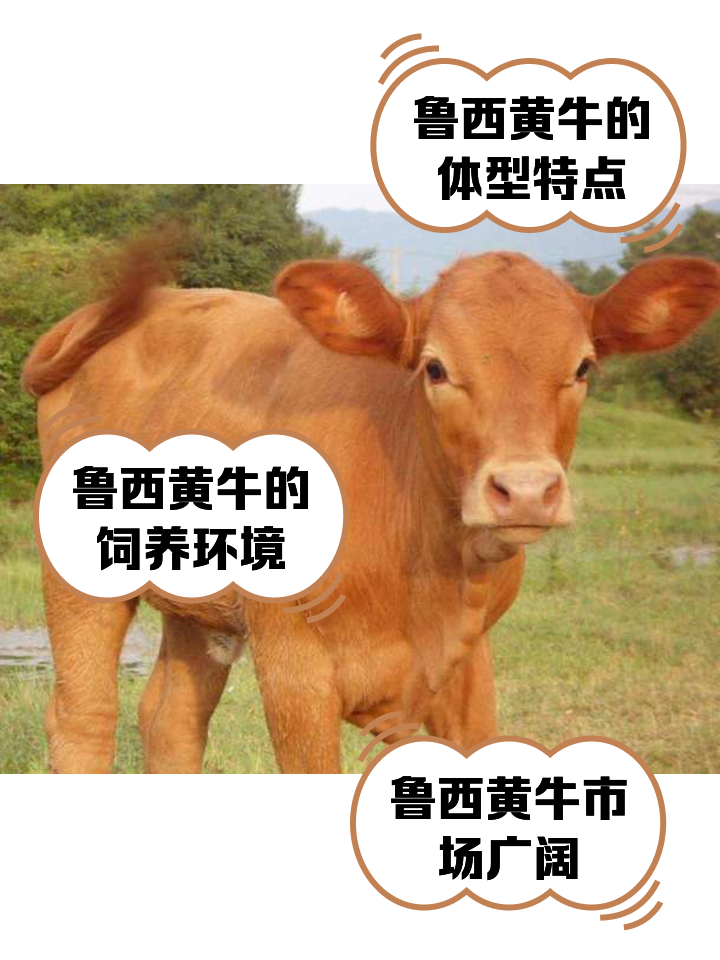 昌吉最新医保取现黄牛方法分析(最方便真实的昌吉医保取现黄牛怎么取方法)